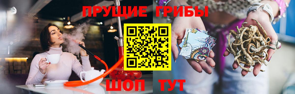 Галлюциногенные грибы GOLDEN TEACHER  купить  цена  Рославль  Вход с VPN  Галлюциногенные грибы Magic Shrooms 